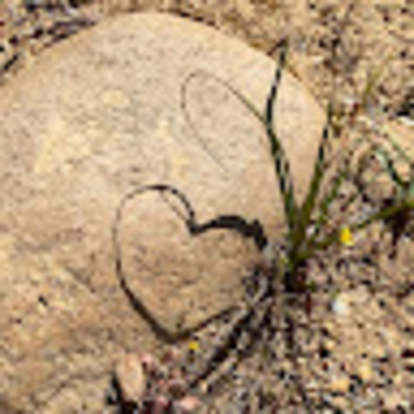 Meet your Posher, Maribel - Picture 1 of 1